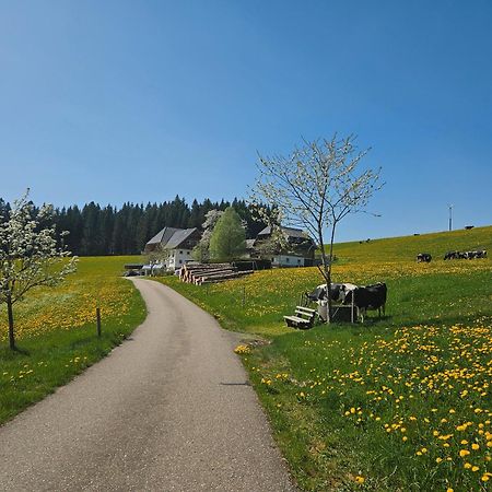 Lorenzenhaeusle Titisee-Neustadt Zewnętrze zdjęcie