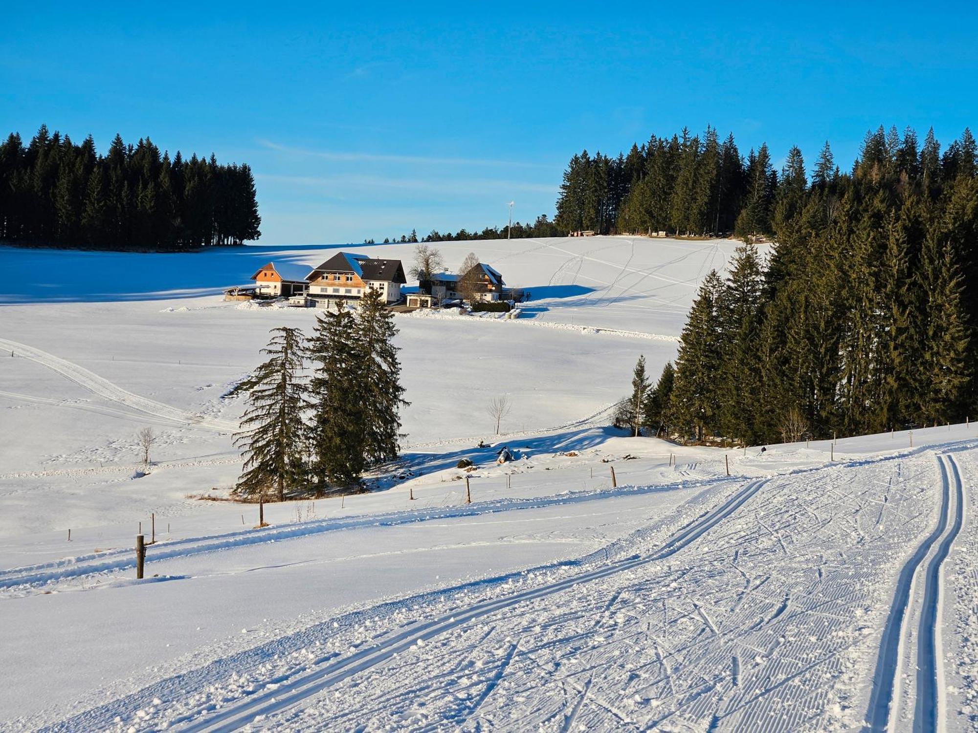 Lorenzenhaeusle Titisee-Neustadt Zewnętrze zdjęcie
