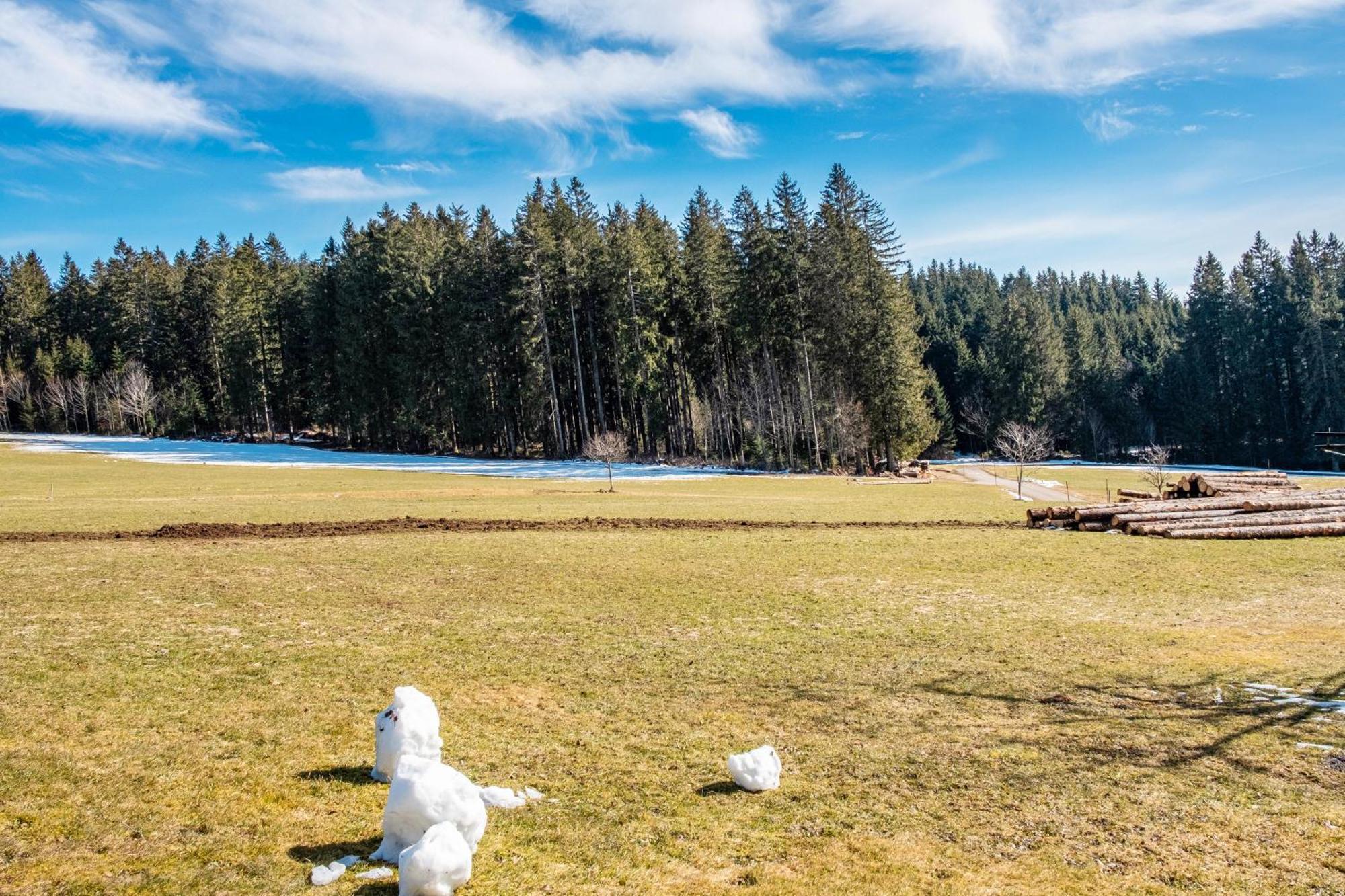 Lorenzenhaeusle Titisee-Neustadt Zewnętrze zdjęcie