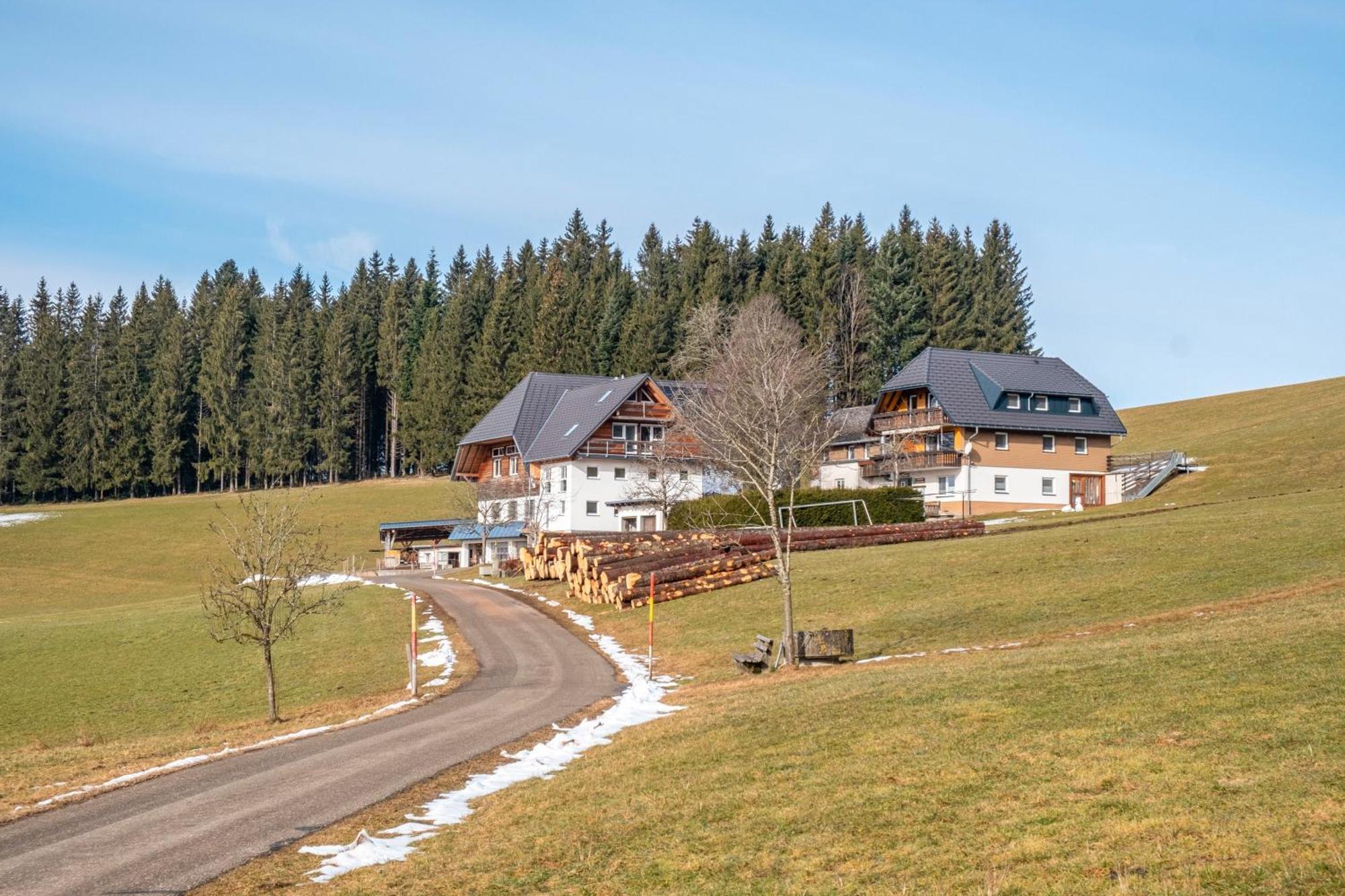 Lorenzenhaeusle Titisee-Neustadt Zewnętrze zdjęcie