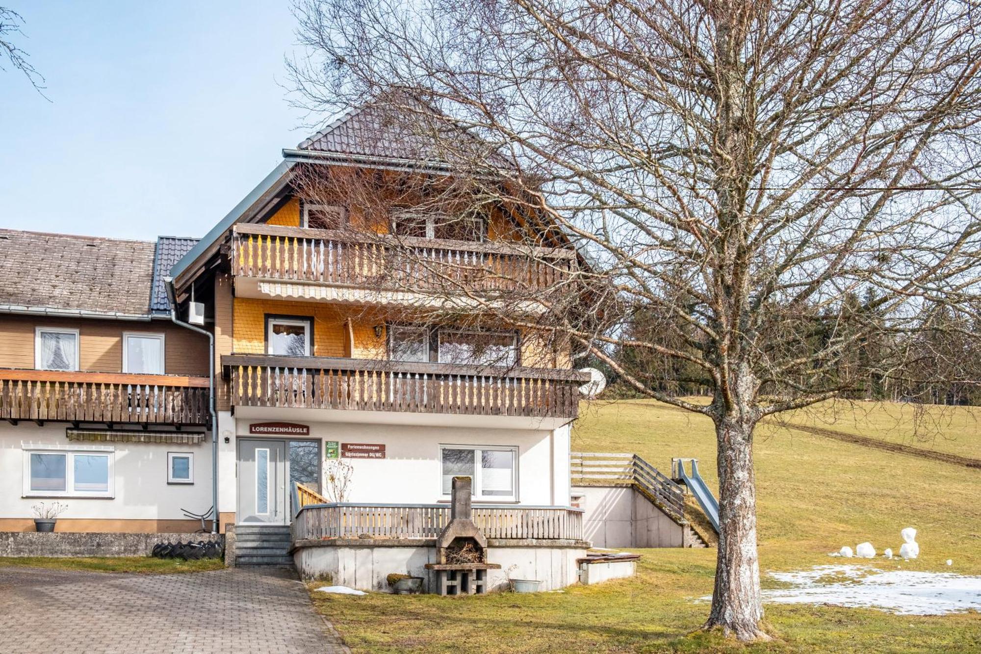 Lorenzenhaeusle Titisee-Neustadt Zewnętrze zdjęcie