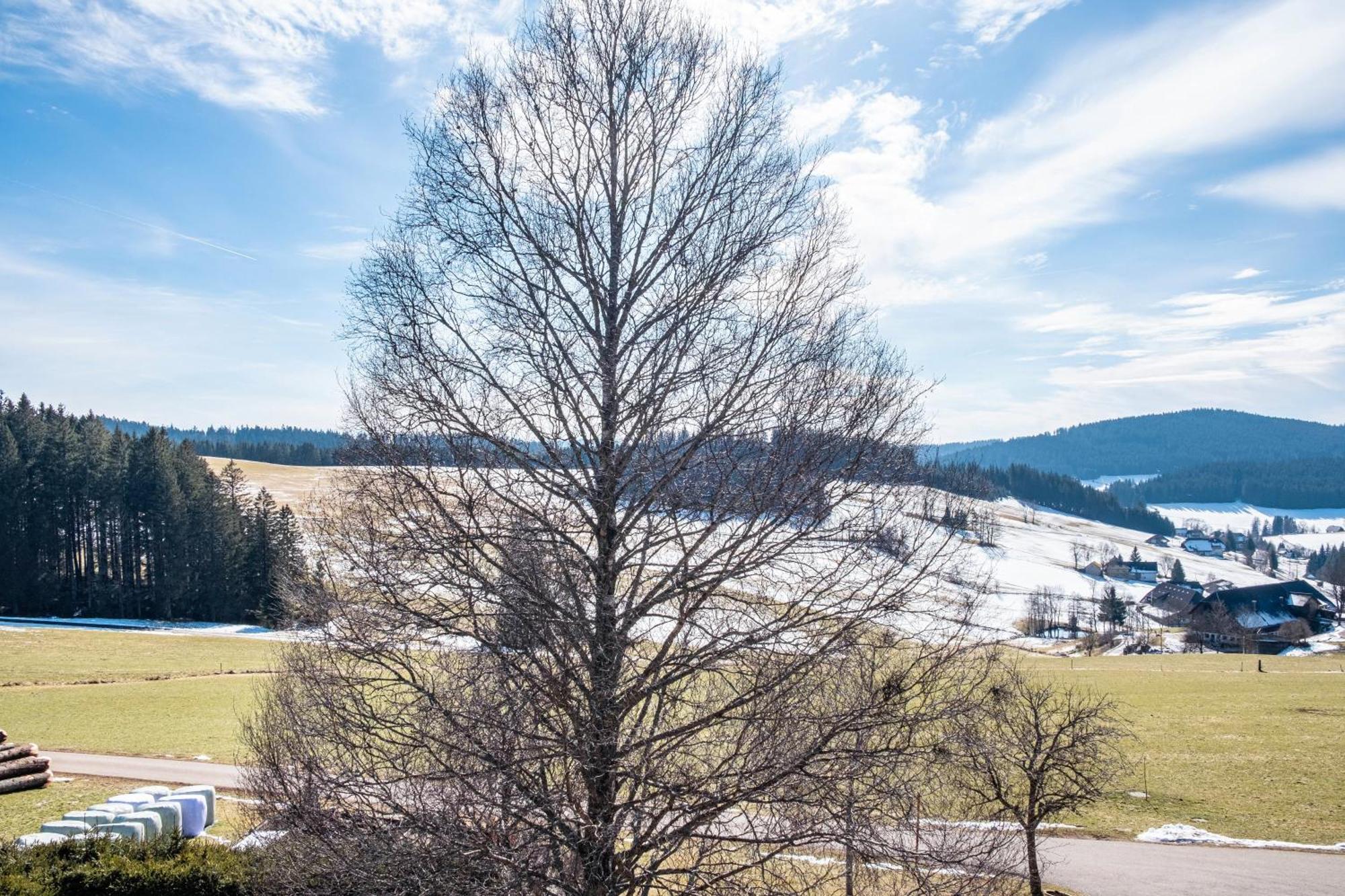 Lorenzenhaeusle Titisee-Neustadt Zewnętrze zdjęcie