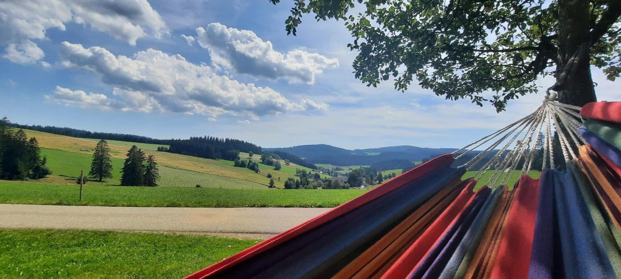 Lorenzenhaeusle Titisee-Neustadt Zewnętrze zdjęcie